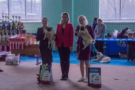 _DSC3531.jpg (90.05 КБ, Просмотров: 10303) _DSC3531.jpg