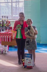 _DSC3541.jpg (82.21 КБ, Просмотров: 9556) _DSC3541.jpg