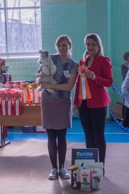 _DSC3679.jpg (78.56 КБ, Просмотров: 10474) _DSC3679.jpg