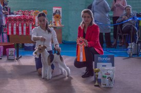 _DSC3701.jpg (86.45 КБ, Просмотров: 9520) _DSC3701.jpg