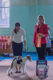 _DSC3722.jpg (76.25 КБ, Просмотров: 9526) _DSC3722.jpg