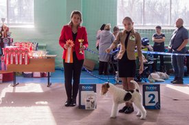 _DSC3749.jpg (90.96 КБ, Просмотров: 9519) _DSC3749.jpg