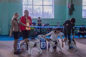 _DSC3769.jpg (85.19 КБ, Просмотров: 9558) _DSC3769.jpg