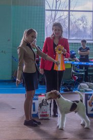 _DSC3777.jpg (84.26 КБ, Просмотров: 10303) _DSC3777.jpg