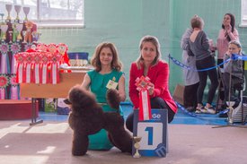 _DSC3788.jpg (87.55 КБ, Просмотров: 9515) _DSC3788.jpg