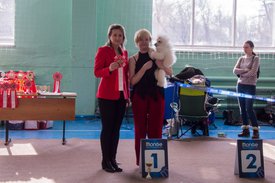 _DSC3807.jpg (82.77 КБ, Просмотров: 9512) _DSC3807.jpg