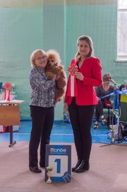 _DSC3827.jpg (75.12 КБ, Просмотров: 9534) _DSC3827.jpg