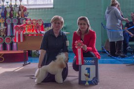 _DSC3859.jpg (83.1 КБ, Просмотров: 9518) _DSC3859.jpg