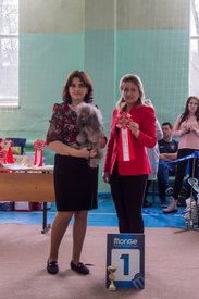 _DSC3898.jpg (78.4 КБ, Просмотров: 9550) _DSC3898.jpg