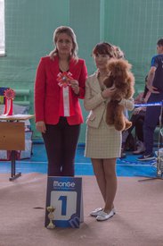 _DSC3927.jpg (76.24 КБ, Просмотров: 9550) _DSC3927.jpg