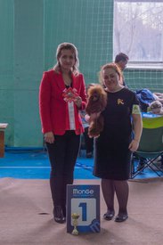 _DSC3962.jpg (71.34 КБ, Просмотров: 10295) _DSC3962.jpg