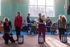 _DSC3981.jpg (80.29 КБ, Просмотров: 10466) _DSC3981.jpg