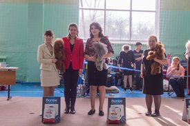 _DSC3991.jpg (82.48 КБ, Просмотров: 10853) _DSC3991.jpg