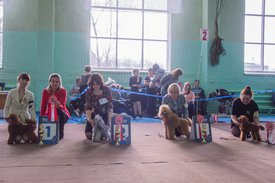 _DSC4030.jpg (81.01 КБ, Просмотров: 9515) _DSC4030.jpg