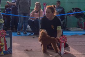 _DSC4036.jpg (71.03 КБ, Просмотров: 10295) _DSC4036.jpg