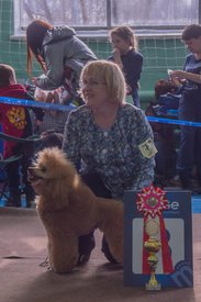 _DSC4039.jpg (80.95 КБ, Просмотров: 9515) _DSC4039.jpg