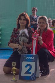 _DSC4046.jpg (70.44 КБ, Просмотров: 9512) _DSC4046.jpg