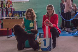 _DSC4068.jpg (75.97 КБ, Просмотров: 9518) _DSC4068.jpg