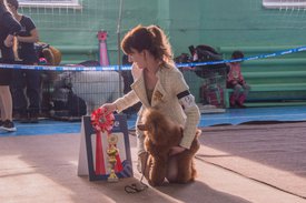 _DSC4082.jpg (82.52 КБ, Просмотров: 9548) _DSC4082.jpg