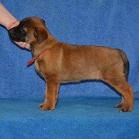 IMG_20200213_190226_116.jpg (68.78 КБ, Просмотров: 3074) IMG_20200213_190226_116.jpg