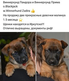 IMG_20200227_211248_197.jpg (146.79 КБ, Просмотров: 3074) IMG_20200227_211248_197.jpg