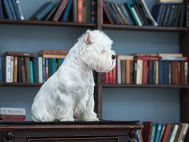 7420_2048.jpg (70.89 КБ, Просмотров: 1806) 7420_2048.jpg