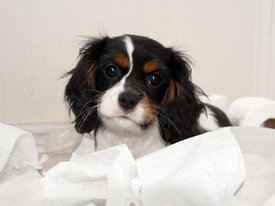 PicsArt_03-25-01.18.18.jpg (214.44 КБ, Просмотров: 2055) PicsArt_03-25-01.18.18.jpg