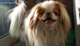 IMG_20200303_170443.jpg (489.35 КБ, Просмотров: 4644) IMG_20200303_170443.jpg