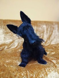 92953239_2598696270448116_7156750021604409344_n.jpg (61.59 КБ, Просмотров: 14466) 92953239_2598696270448116_7156750021604409344_n.jpg