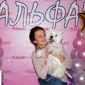 85234365_1272190199642343_5360447466938302464_o.jpg (273.93 КБ, Просмотров: 13626) 85234365_1272190199642343_5360447466938302464_o.jpg