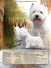 для форума.jpg (449.19 КБ, Просмотров: 13626) для форума.jpg