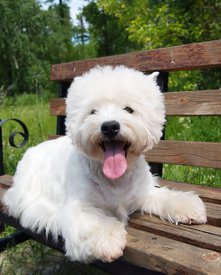 4.jpg (383.54 КБ, Просмотров: 13626) 4.jpg