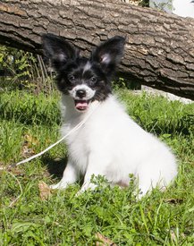 IMG_7571.1.jpg (578.92 КБ, Просмотров: 3237) IMG_7571.1.jpg