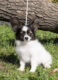 IMG_7610.1.jpg (410.07 КБ, Просмотров: 3235) IMG_7610.1.jpg