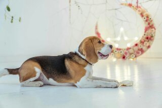 1468804796381.jpg (10.86 КБ, Просмотров: 28811) 1468804796381.jpg