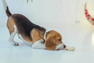 1468804800315.jpg (9.44 КБ, Просмотров: 28811) 1468804800315.jpg