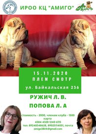 Плем.jpg (195.05 КБ, Просмотров: 1976) Плем.jpg