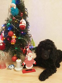 WhatsApp Image 2020-12-29 at 22.53.39.jpeg (89.64 КБ, Просмотров: 1454) WhatsApp Image 2020-12-29 at 22.53.39.jpeg