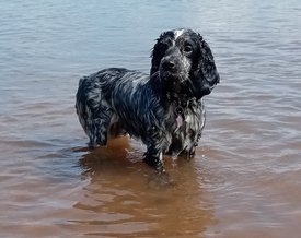 IMG_20210223_124858.jpg (389.9 КБ, Просмотров: 3309) IMG_20210223_124858.jpg