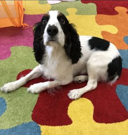 IMG_20210222_181740.jpg (182.57 КБ, Просмотров: 3452) IMG_20210222_181740.jpg