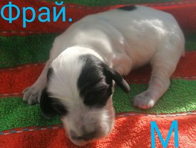 IMG_20210223_125736.jpg (397.14 КБ, Просмотров: 3307) IMG_20210223_125736.jpg