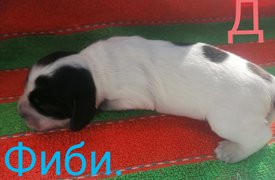 IMG_20210223_125833.jpg (334.12 КБ, Просмотров: 3307) IMG_20210223_125833.jpg