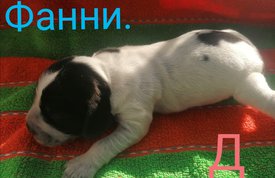 IMG_20210223_125800.jpg (365.41 КБ, Просмотров: 3450) IMG_20210223_125800.jpg