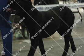 11.jpg (66.49 КБ, Просмотров: 11479) 11.jpg