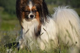 IMG-20210607-WA0107.jpg (59.47 КБ, Просмотров: 6946) IMG-20210607-WA0107.jpg