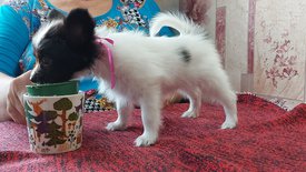 20210711_150801испр.jpg (337.58 КБ, Просмотров: 7161) 20210711_150801испр.jpg