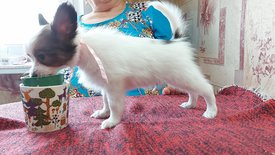 20210711_151317испр.jpg (264 КБ, Просмотров: 6943) 20210711_151317испр.jpg