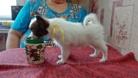 20210711_144700испр.jpg (436.42 КБ, Просмотров: 7162) 20210711_144700испр.jpg