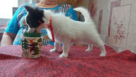 20210711_145334испр.jpg (552.07 КБ, Просмотров: 7162) 20210711_145334испр.jpg