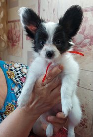 20210711_145522испр.jpg (258.06 КБ, Просмотров: 7154) 20210711_145522испр.jpg